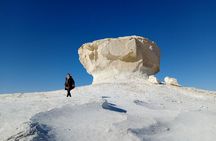 Privat White desert and Bahariya oasis 2 days with camping 