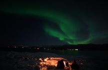  Aurora Tour