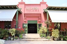 3-hour Wine and Pisco tour / Tacama and El Catador