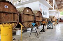 Vineyard & Buggy tour in Huacachina / 1 day tour from Lima