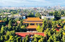 Half Day Private Highlights Tour of Forbidden City and Hutong 