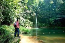 Half-Day Lambir Hills National Park Tour from Miri