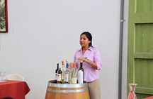 3-hour Wine and Pisco tour / Tacama and El Catador