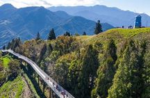 1D Tour to Cingjing Farm from Taichung 
