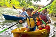 Mangrove kayaking to enjoy nature in Okinawa