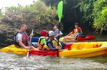 Mangrove kayaking to enjoy nature in Okinawa