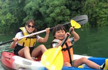 Mangrove kayaking to enjoy nature in Okinawa