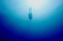 3 days Free-diving Beginner course, Aida 2 freediver in Pemuteran 