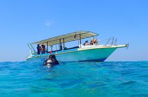 Discover Scuba Diving and dive in Menjangan Island Marine Park 2 dives