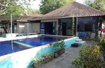 3 days Free-diving Beginner course, Aida 2 freediver in Pemuteran 
