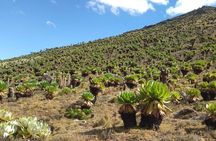 4 Days Mount Kenya Climb – Sirimon Route