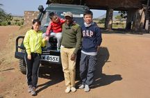 4-Day Masai Mara and Lake Nakuru safari from Nairobi.