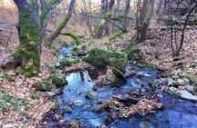 Strumica monasteries and waterfalls tour from Skopje