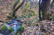 Strumica monasteries and waterfalls tour from Skopje