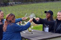 Cape Winelands shared day tour from Cape Town to Stellenbosch and Franschhoek