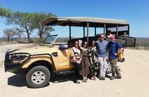 Kruger Safari Tour - Morning Half Day