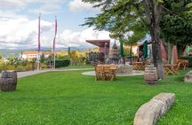 Wine Fountain Tour from Koper