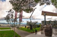 Wine Fountain Tour from Koper