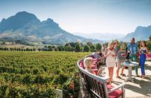 Cape Winelands shared day tour from Cape Town to Stellenbosch and Franschhoek