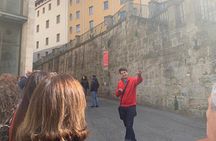 Private City Tour Pamplona