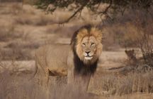 6 Day Private Guided Accommodated Namibian Loop 