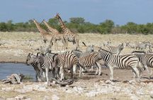 6 Day Private Guided Accommodated Namibian Loop 