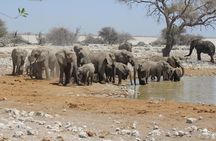 6 Day Private Guided Accommodated Namibian Loop 