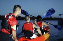 Bio Bay Kayak Tour in Fajardo