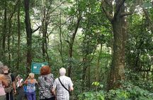 Vermont Nature Trail Hike