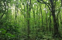Vermont Nature Trail Hike