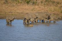 Mikumi National Park Day Trip from Dar es salaam (By road)