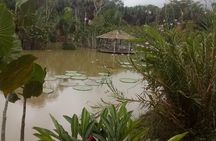 Full day tour amazon river 2020