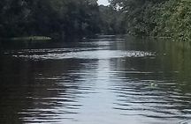Full day tour amazon river 2020