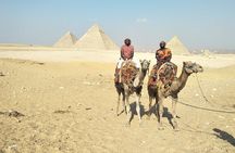 Giza Pyramids , Sphinx , Sakkara private day tour 
