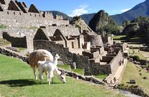 Machu Picchu By Trail 1 Day | Tour From Cusco |