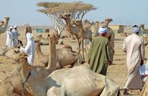 Shalateen Tour from Marsa Alam