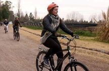 3 Wineries biking tour in Chacras de Coria with lunch