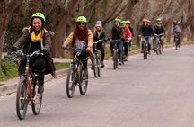 3 Wineries biking tour in Chacras de Coria with lunch