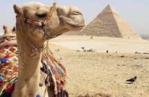 Private Day Tour to Cairo from Portsaid Port & Hotels