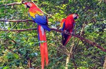 From Winter to Roatan Summer Vibes Private Tour