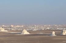 Overnight tour to Baharyia Oasis (Black&White desert with Crystal mountain)