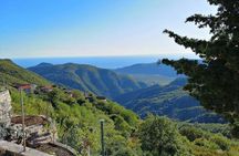 Unique lunch experience with locals in high hills above Budva!