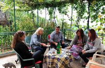 Unique lunch experience with locals in high hills above Budva!