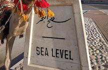 Private Tour: Dead Sea and Masada
