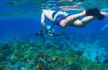 Glass Bottom Boat Ride/Snorkeling/Booby Cay Island from Grand Palladium Lucea