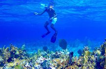 Glass Bottom Boat Ride/Snorkeling/Booby Cay Island from Grand Palladium Lucea