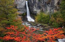 Visit Calafate in 3 Days