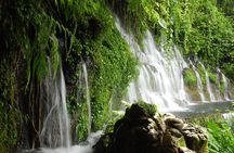 Coffee Country and Ruta de las Flores. A day full of fun!