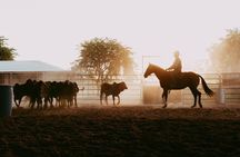 Katherine Outback Experience Show Ticket