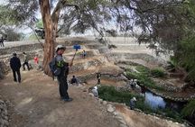 tour operators in Nasca in buggy archeology and adventure